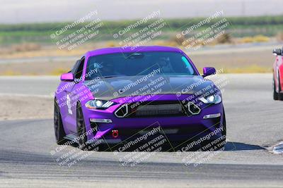 media/Sep-18-2022-Speed Ventures (Sun) [[5447a334fb]]/Purple/Cotton Corners/